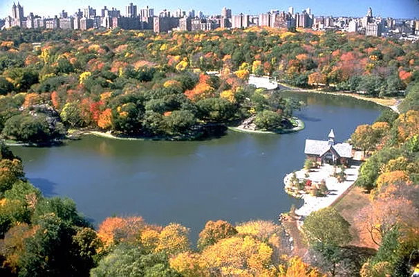 Rented by Liberty Place Property Management | media 22