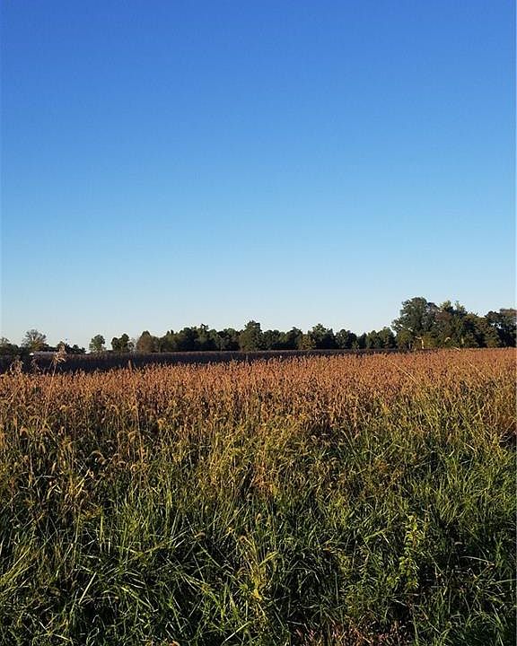2nd image of Everman Rd
