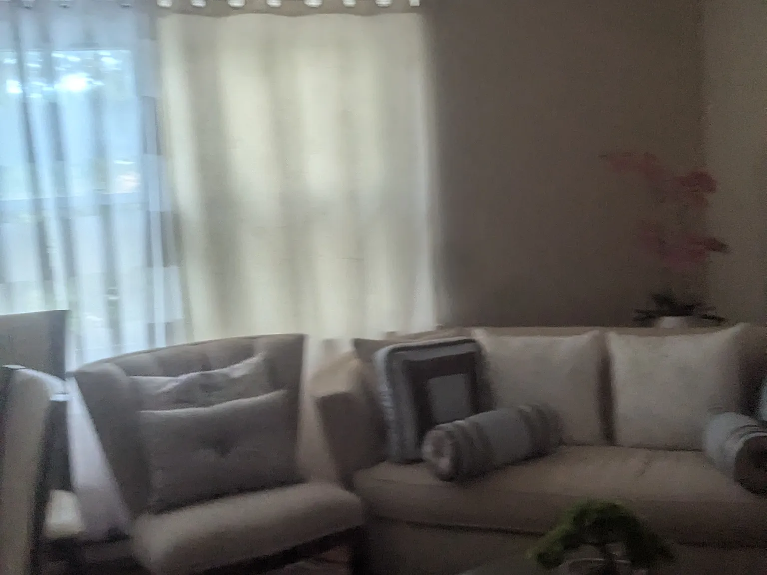 2 bed, 550 sqft, $1,800 — Photo 3