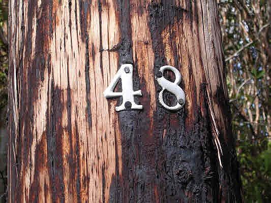 5th image of Road 9 Koloa Maoli Lot 5580
