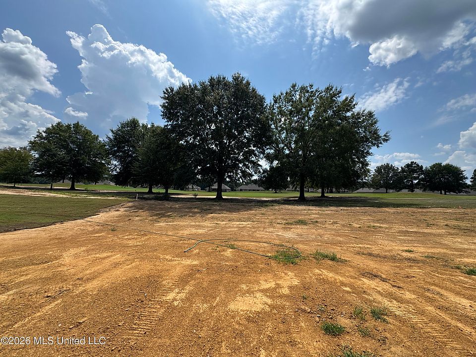 2nd image of 555 Patrick Farms Dr