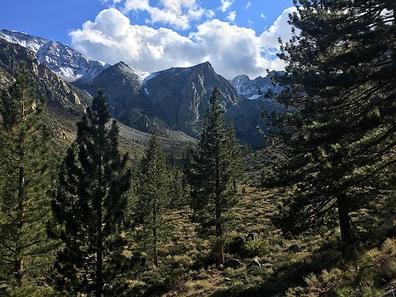 Big Pine Canyon hiking is just up the street, where your mountain paradise awaits.