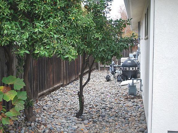 5th image of 1021 Curtner Ave