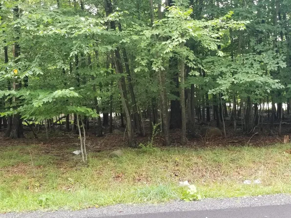 141 Natures Dr, Tobyhanna, PA 18466