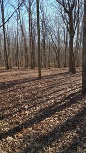 0 Little Creek Ln, Pamplin, VA, 23958