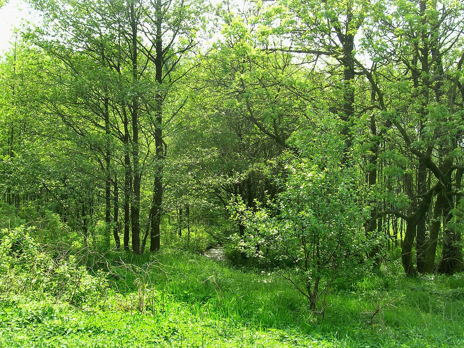 7099 52 1/2 St, Grand Junction, MI 49056 Zillow