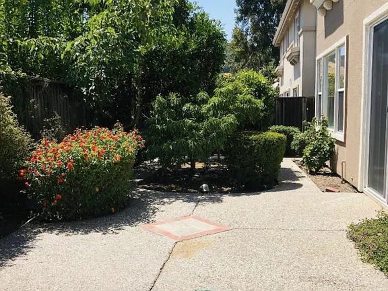 1726 Via Cortina — Photo 13