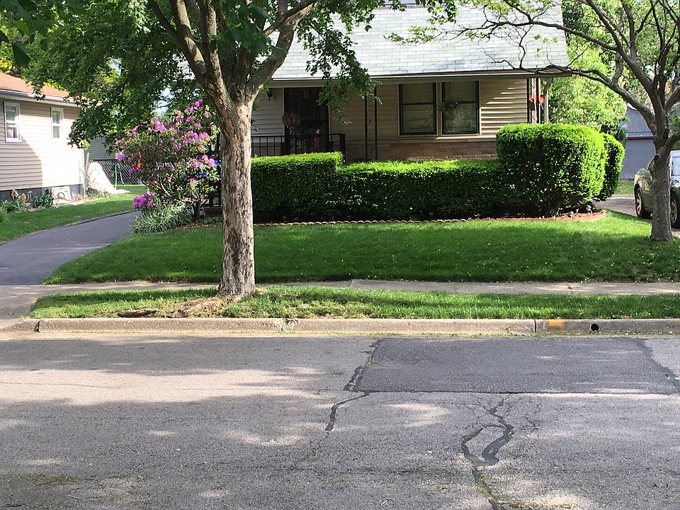 Front Yard View