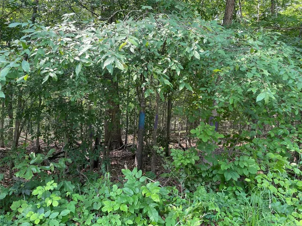 0 Bcr #304, Marble Hill, MO 63764