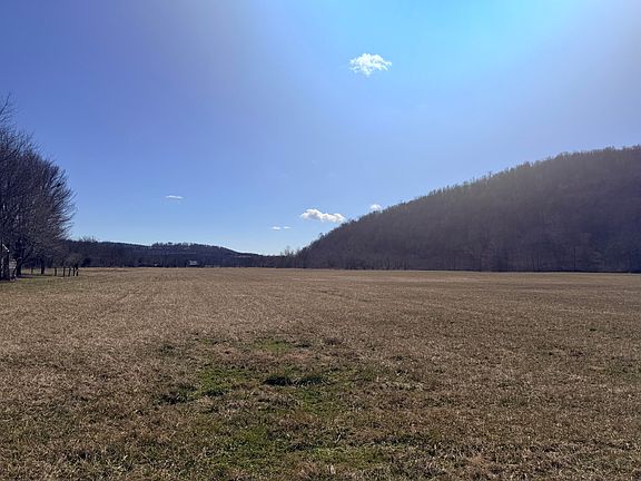 3rd image of 658 Wildie Rd