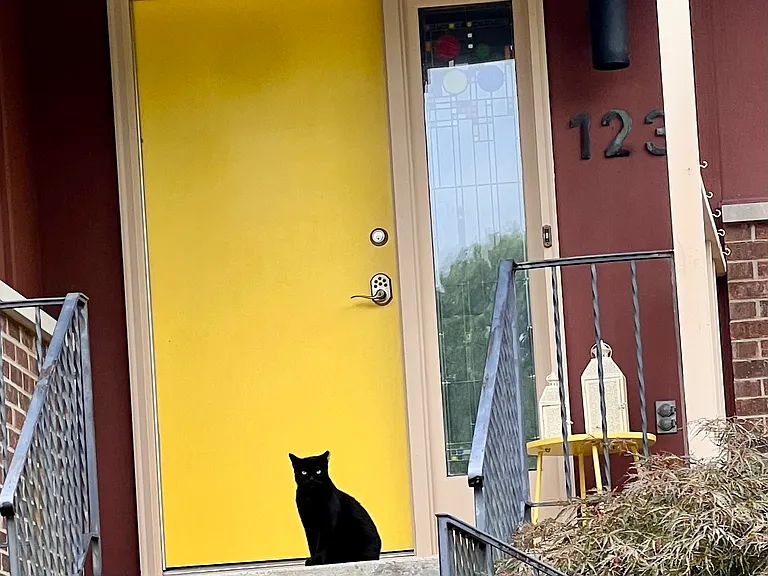 Front Door (Cat Guard!)
