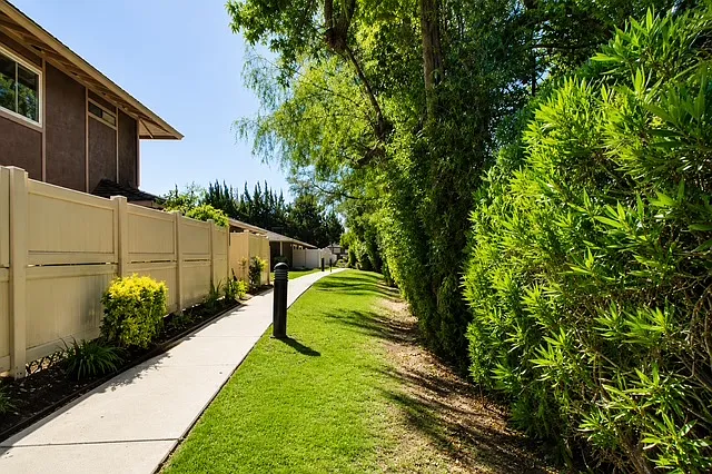 28543 Conejo View Dr — Photo 20