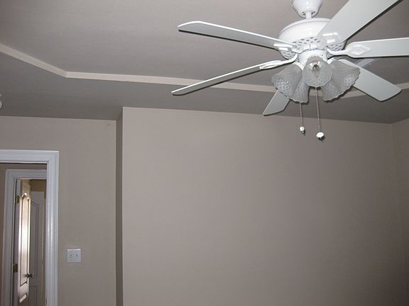 Raised tray ceiling in master bedroom