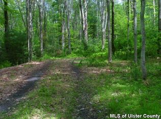 273 Weber Ln, Olivebridge, NY 12461
