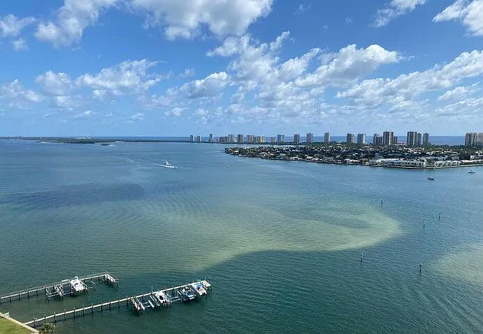 2650 Lake Shore Dr #2203 — Photo 2