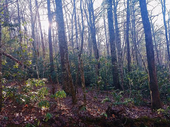 4th image of 0 Bear Paw Rd Lot 4
