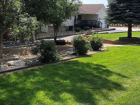 Front yard 