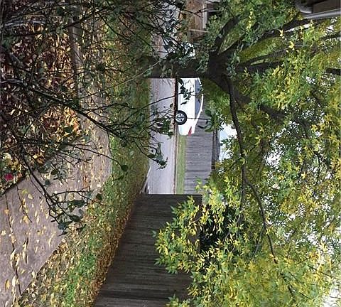 View from front porch
