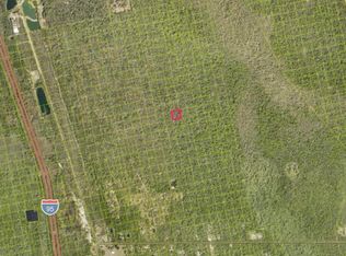 0 Street, New Smyrna Beach, FL 32168