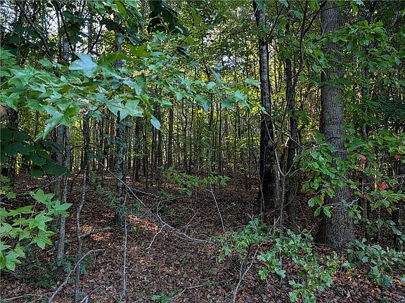 4th image of 1518 Kelly Mill Rd
