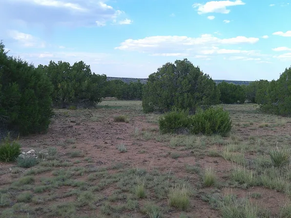 Concho Hwy #1, Concho, AZ 85924