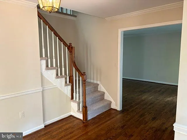 5 bed, 3.5 bath, 3836 sqft, $4,500 — Photo 4