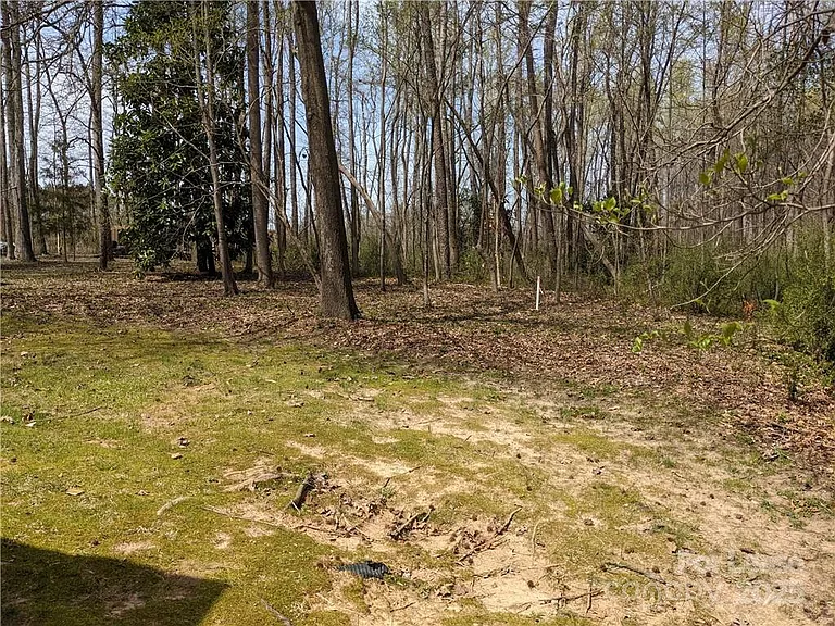 8505 Mount Holly Hntrsvlle Rd — Photo 29