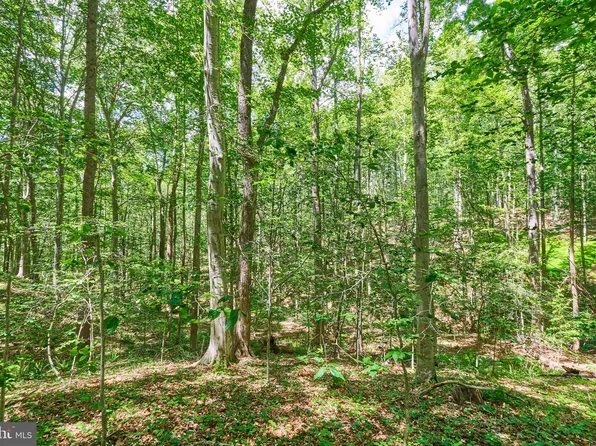 8228 Shadowridge Dr, Fairfax Station, VA 22039