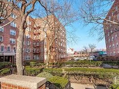 3310 Avenue N #B, Brooklyn, NY, 11210