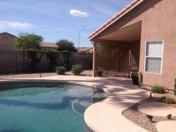 Back Yard/Patio