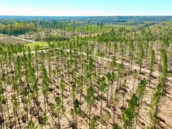 LOT 15 C Hwy #29, Molino, FL 32577