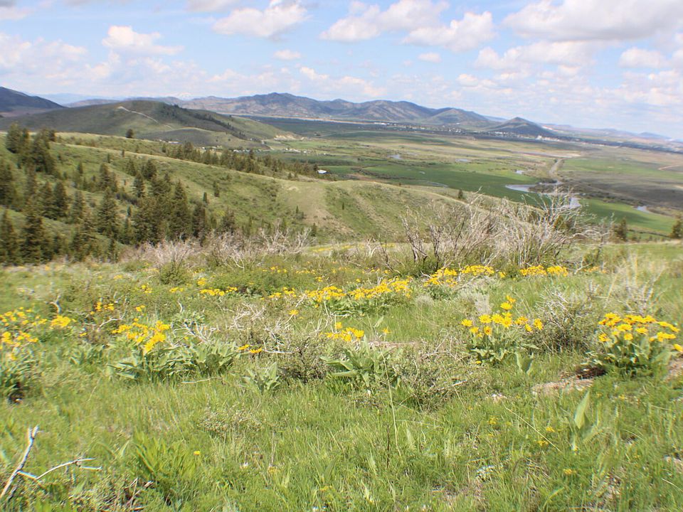 0 Caribou Village Subdivision Chase Blvd Soda Springs ID Zillow