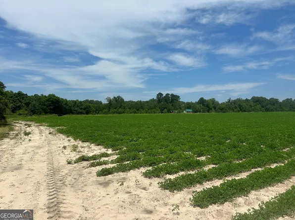 0 Whitehill Rd, Sylvania, GA 30467