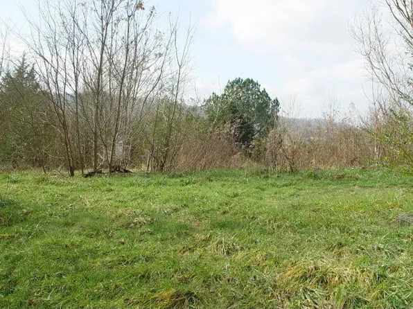 111 Iris Cir, Byrdstown, TN 38549