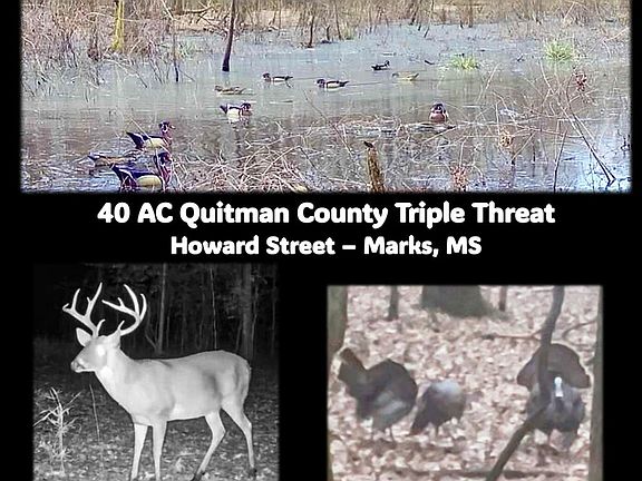 3rd image of 0 Howard St