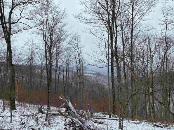 Tbd Stemple Ridge Rd, Aurora, WV 26705