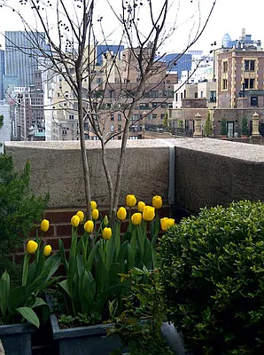 Rented by Maria Buncick Fine Properties, LLC | media 18