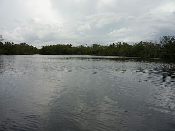 River View