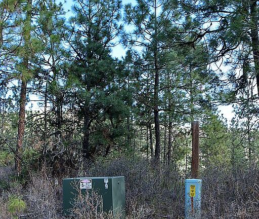 5th image of 35655 Spruce Grouse Ln N
