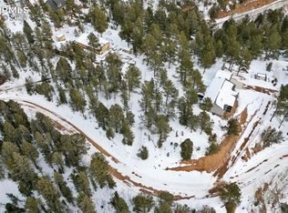 694 Horseshoe Dr, Divide, CO 80814