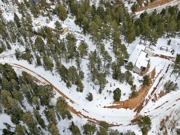 694 Horseshoe Dr, Divide, CO 80814