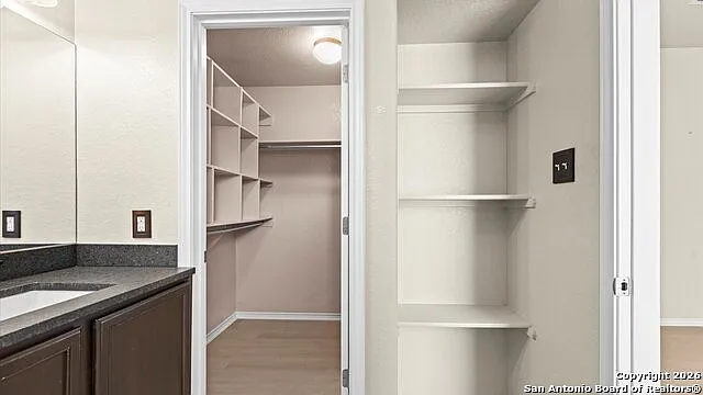 7411 Hazel Cv — Photo 15