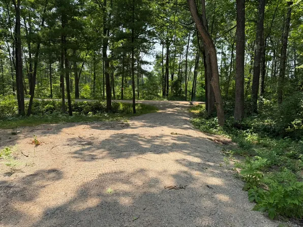 Steinberg Rd, Wellston, MI 49689