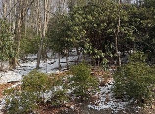 301 Jackpine Rd, Banner Elk, NC 28604