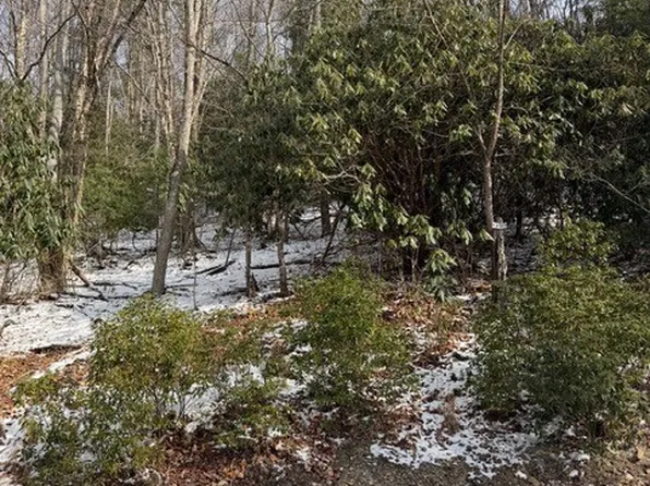 301 Jackpine Road, Beech Mountain, NC 28604