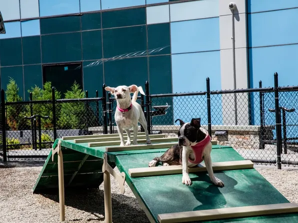 100 Willoughby Street image 43 of 43