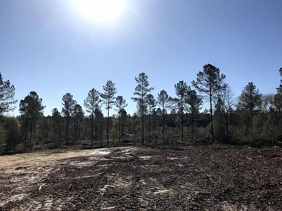 5th image of 0 Lagrange Hwy
