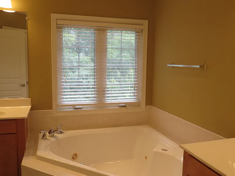 4484 Black Ironwood Dr — Photo 21