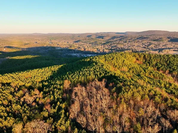 0 County Road 515 #5, Hanceville, AL 35077