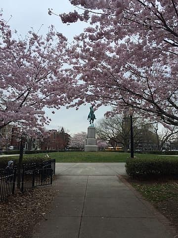 2nd image of 630 Constitution Ave NE #B